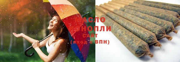 МДПВ Краснослободск