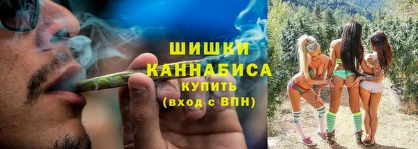 МДПВ Краснослободск