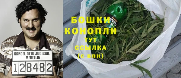 МДПВ Краснослободск